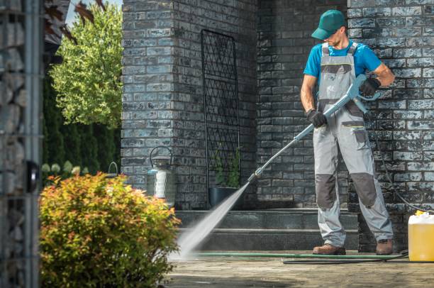 Animal Enclosure Cleaning in Winthrop Harbor, IL
